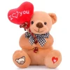 Plush Boutiques Ours^Ours en peluche avec un coeur